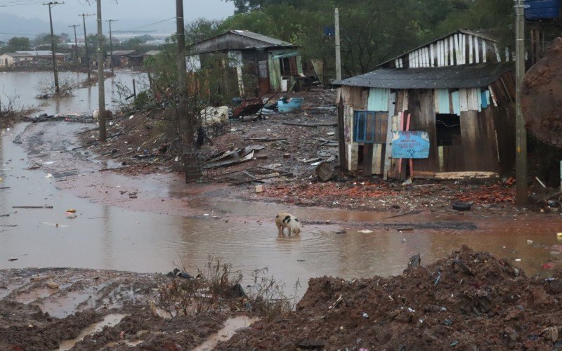 Água ainda toma conta da Vila Palmeira