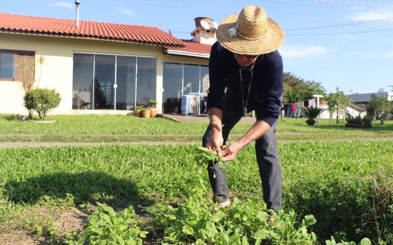 Alfredo Strack, agricultor de Lomba Grande, avalia como ficou os canteiros de hortaliças após as cheias | abc+