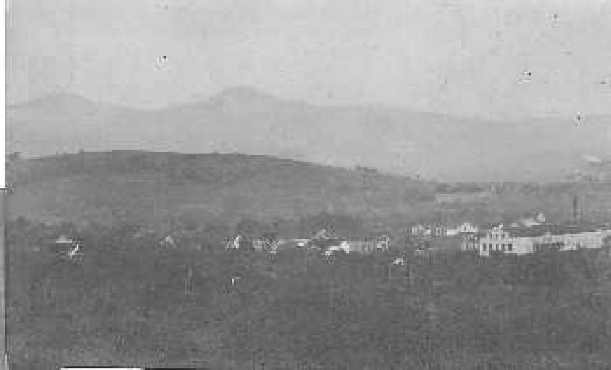 CURIOSIDADES DA IMIGRAÇÃO #133: A importância da família Vetter para Campo Bom