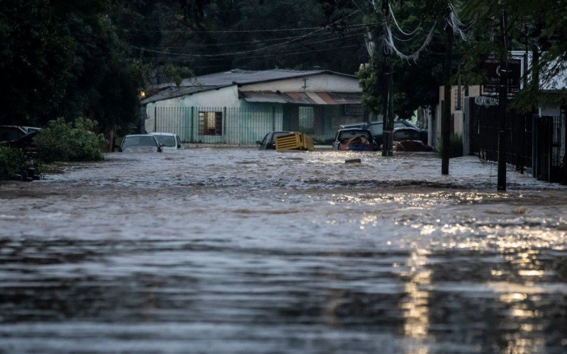 Rio Grande do Sul investiga mais de 800 casos de leptospirose | abc+