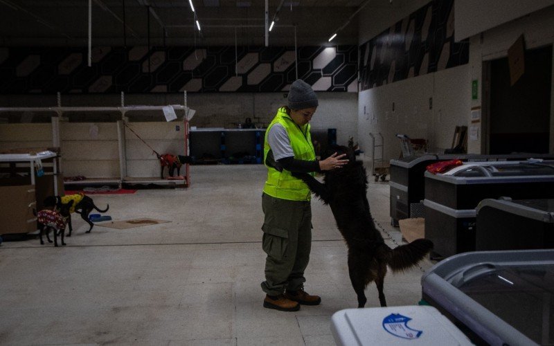 Animais resgatados da enchente estão no abrigo municipal montado junto ao antigo Big/Carrefour