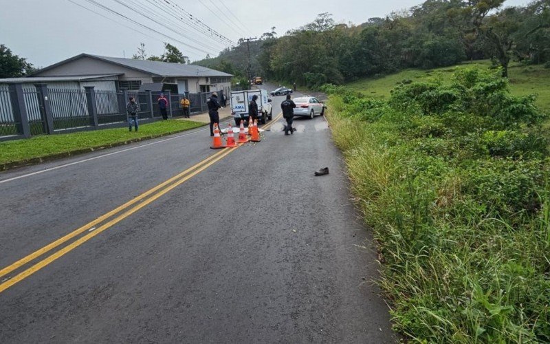 Idoso e cão não sobreviveram a atropelamento em Nova Petrópolis