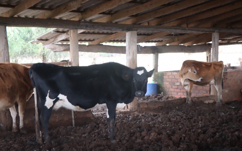 Empreendedoras afetadas pela enchente em Campo Bom