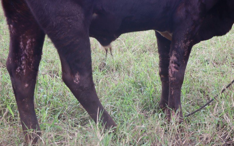 Empreendedoras afetadas pela enchente em Campo Bom