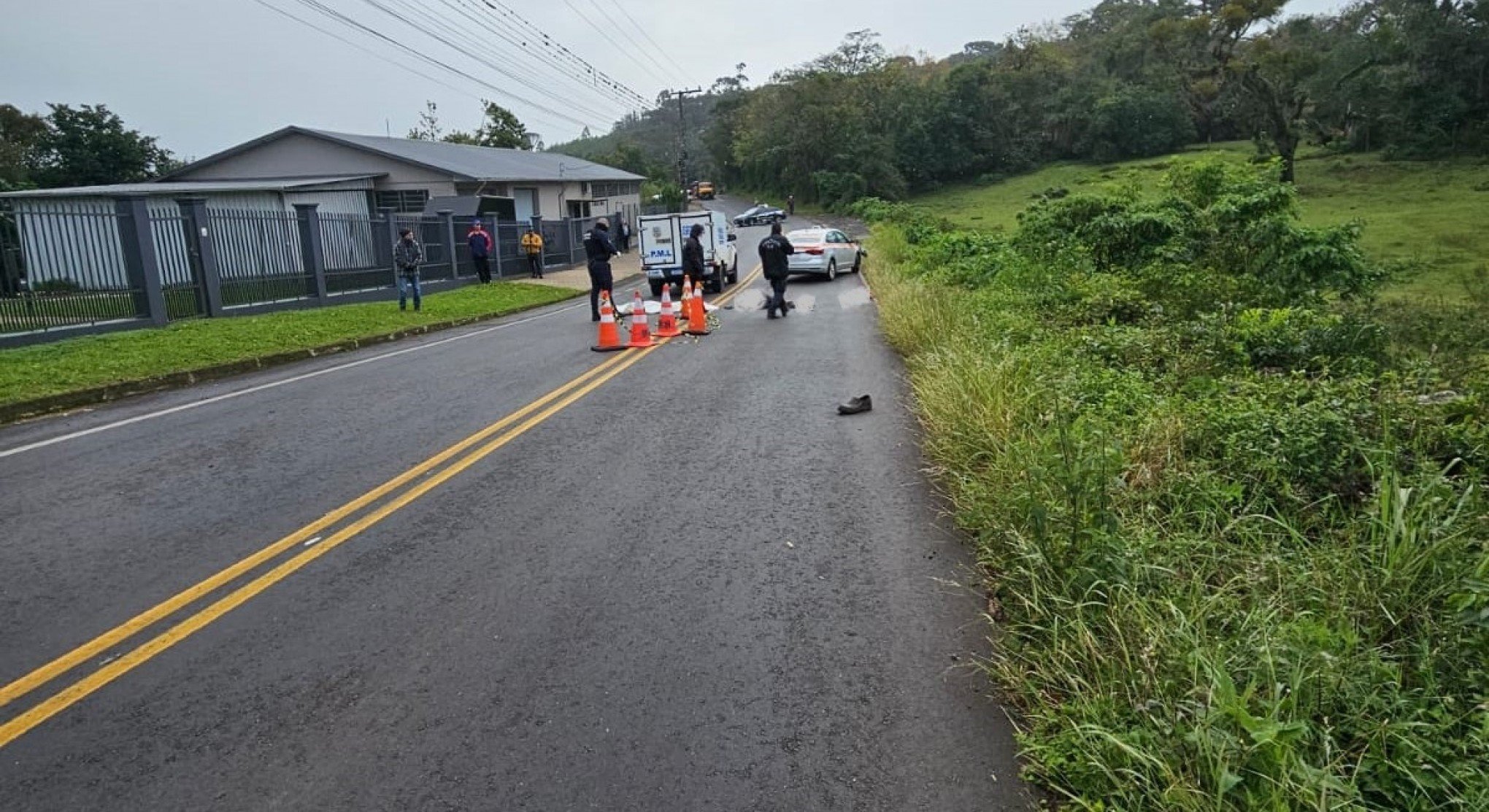 Idoso e cachorro morrem atropelados em Nova Petrópolis; Polícia Civil investigará circunstâncias do acidente