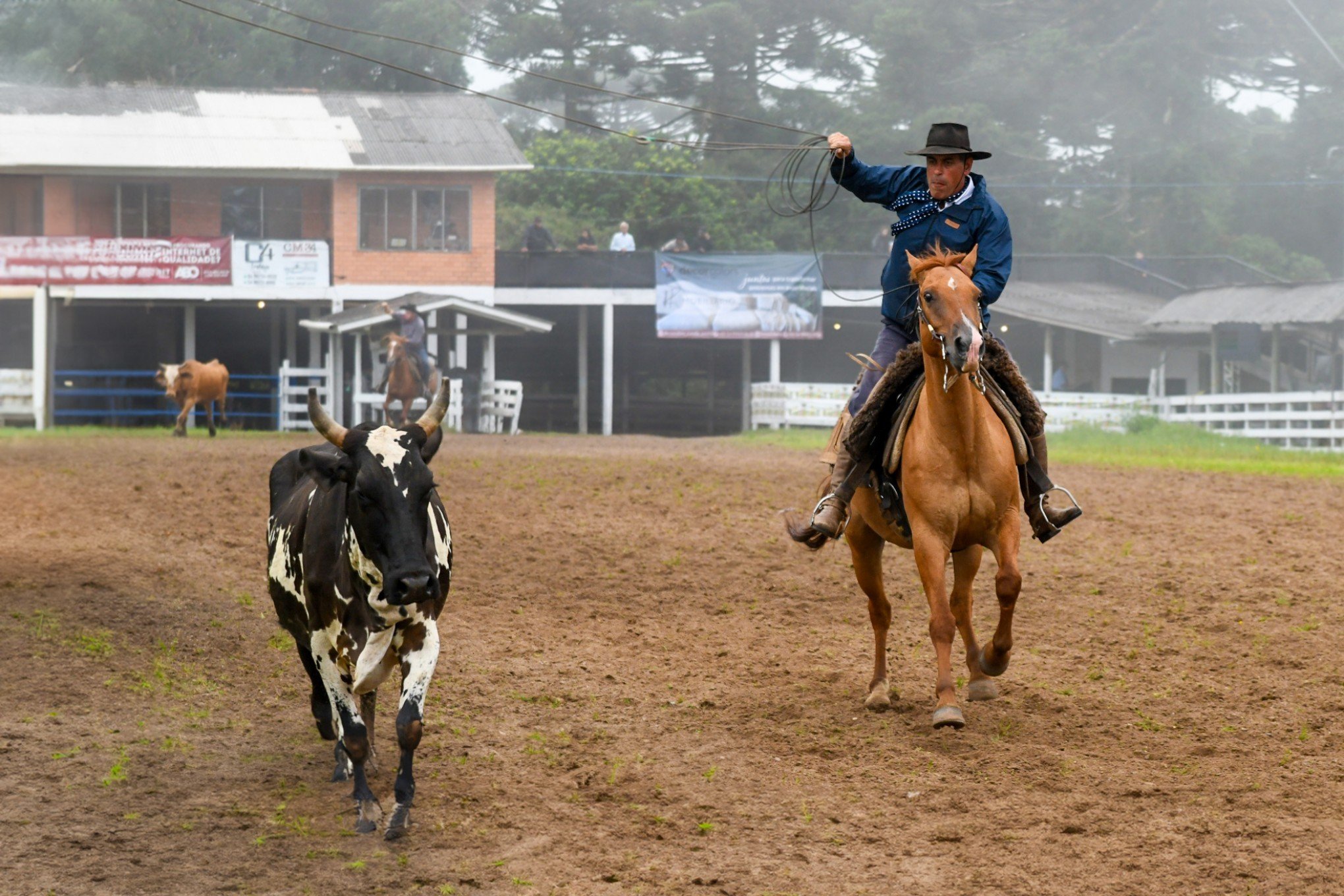 Celebrações pelos 70 anos do CTG Querência marcarão o final de semana; confira programação