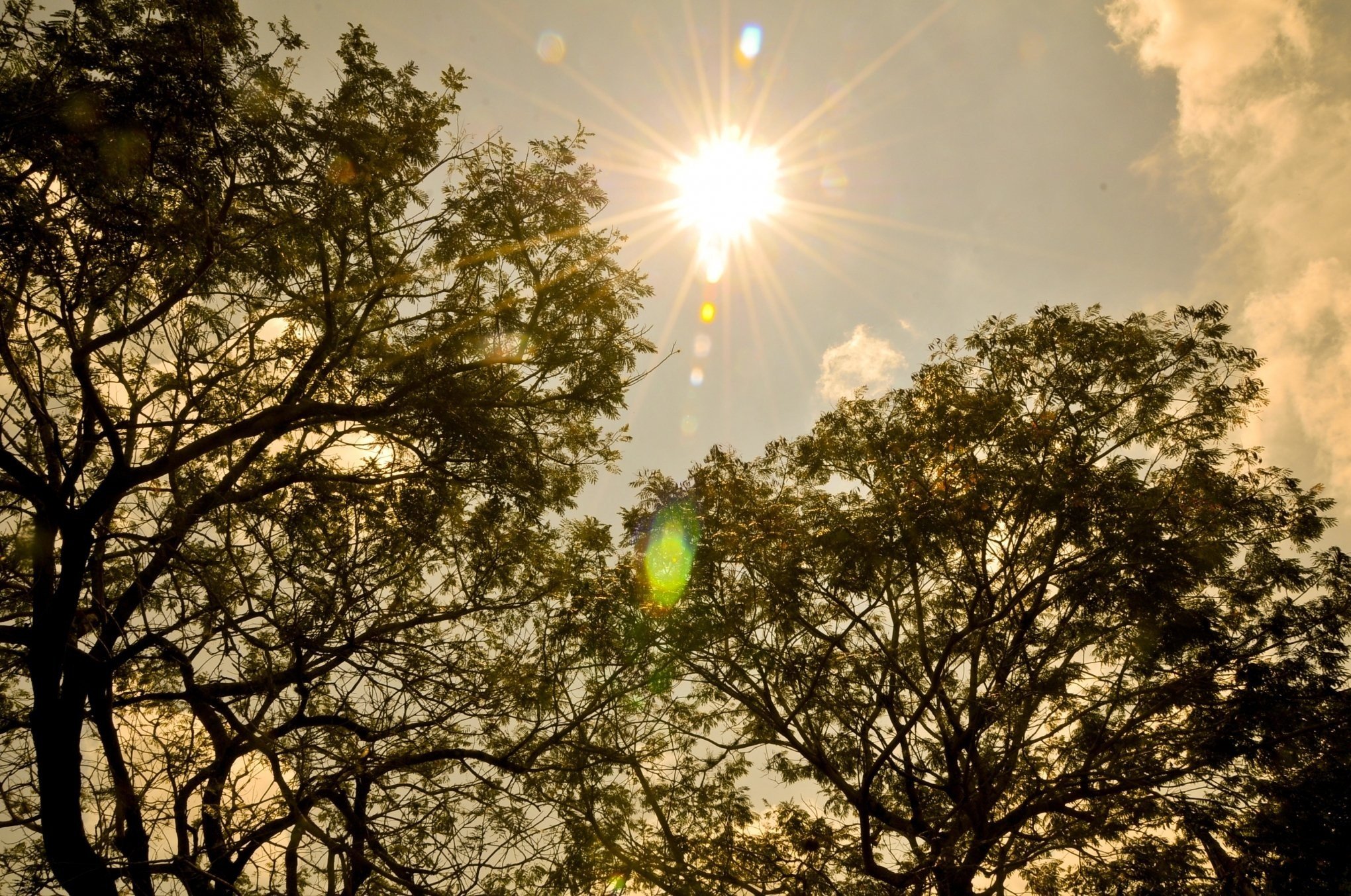 Primavera começa com temperaturas típicas do auge do verão causadas por onda de calor intensa