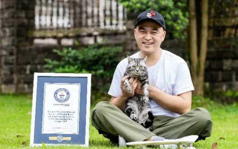 Li Jiangtao treinou o gato Bao Zi a andar de skate e muitos outros truques | abc+