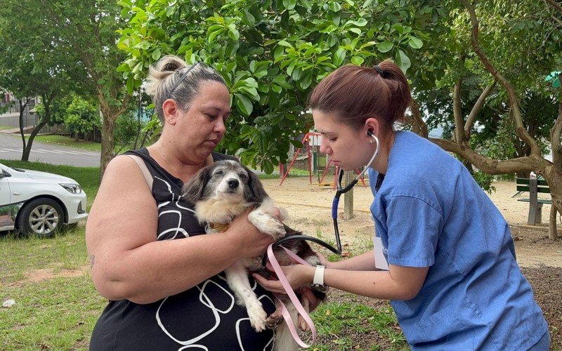 Nas edições anteriores, 261 animais foram encaminhados para o procedimento através do programa municipal | abc+