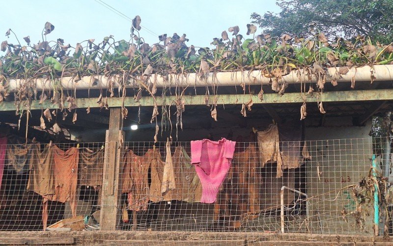 Cenários de destruição ainda impacta moradores do bairro Santo Afonso, em Novo Hamburgo