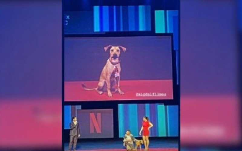 Produtora anuncia filme sobre o Cachorro Caramelo na Netflix | abc+