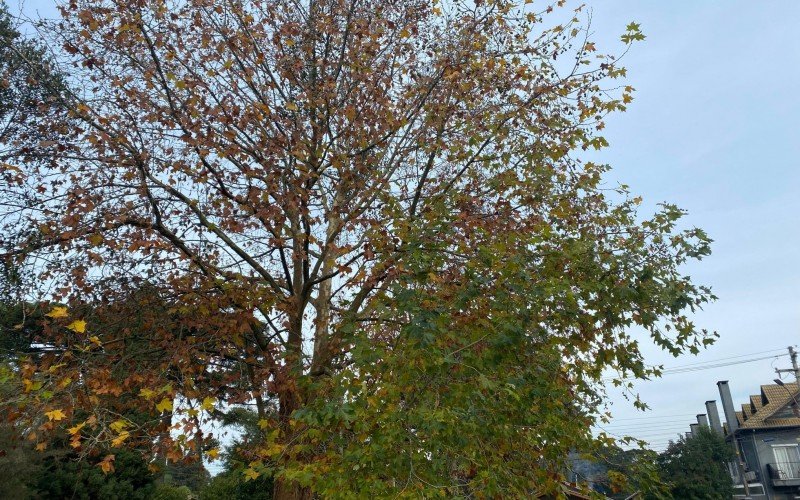 Dia típico de outono, com tempo fechado, em Canela e Gramado