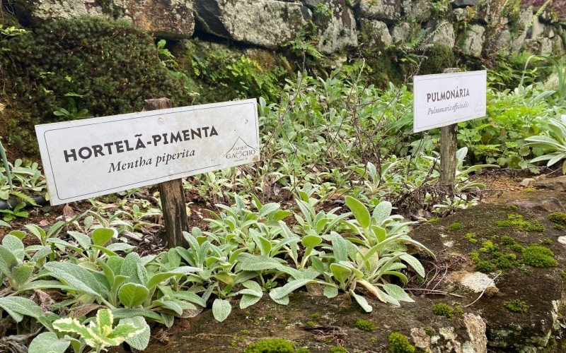 Parque GaÃºcho, em Gramado, faz tour com escolas