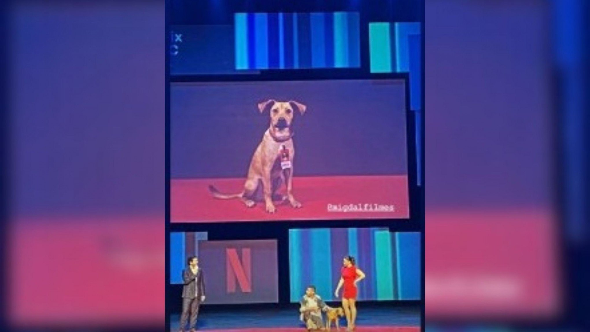 Cachorro Caramelo vai virar filme na Netflix