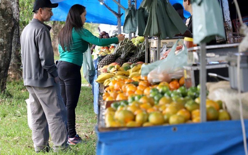 Atividade ocorre das 15 às 19 horas, no seu tradicional espaço, no canteiro central da Avenida Rio Branco, esquina com Rua Cacequi