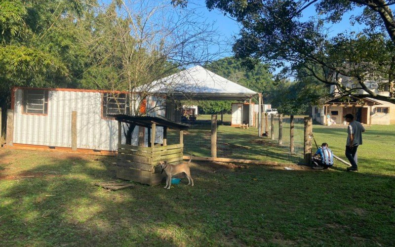 Local em Viamão onde os cães e gatos serão abrigados