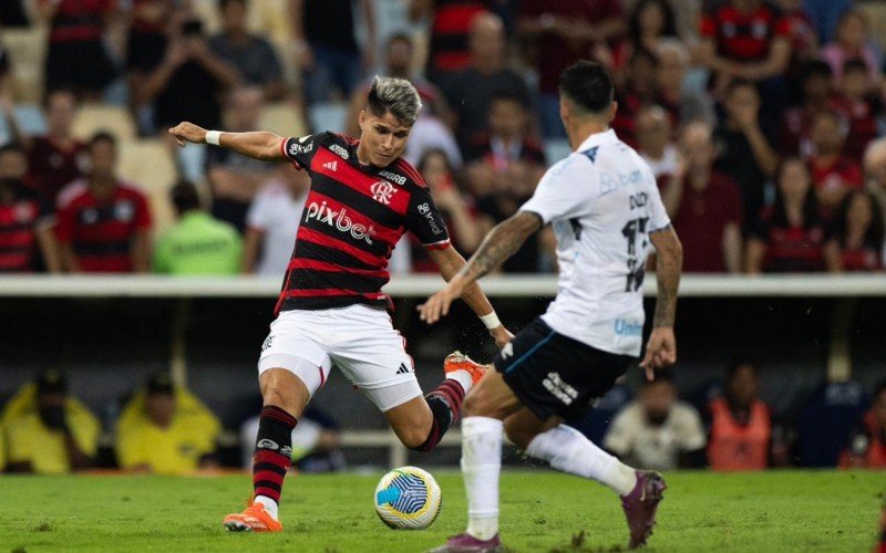 L. Araújo fez os dois gols do Flamengo | abc+