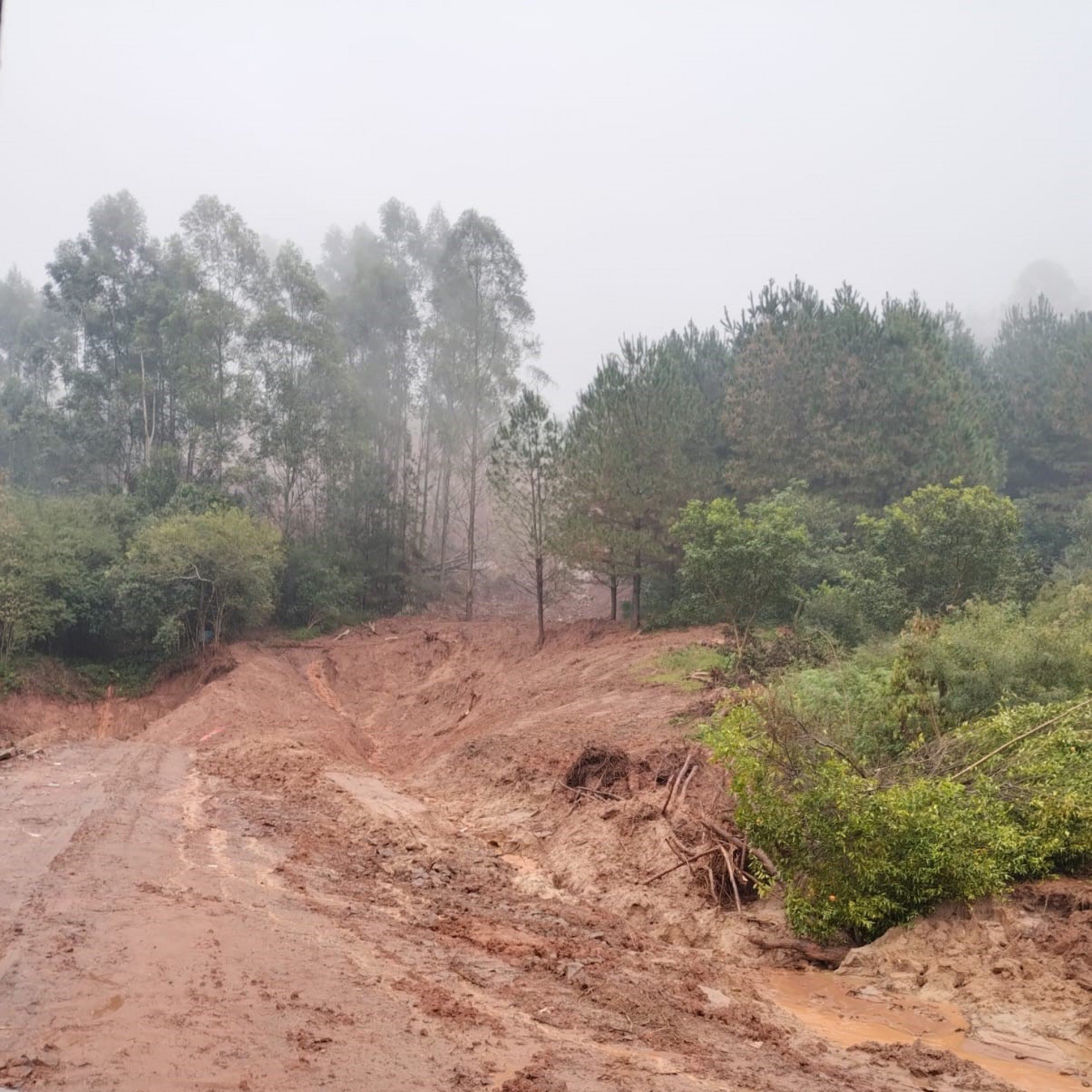 TEMPESTADE: Risco de novos deslizamentos de terra em Três Coroas colocam Defesa Civil em alerta