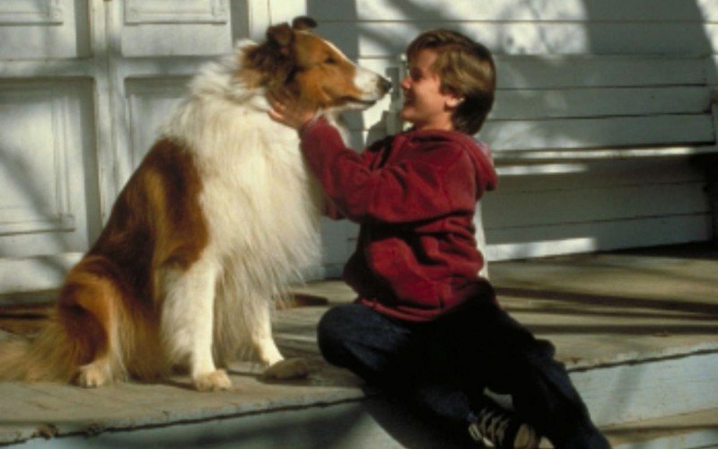 Tom Guiry estrelou filmes como Lassie (1994) e Se Brincar o Bicho Morde (1993) | abc+