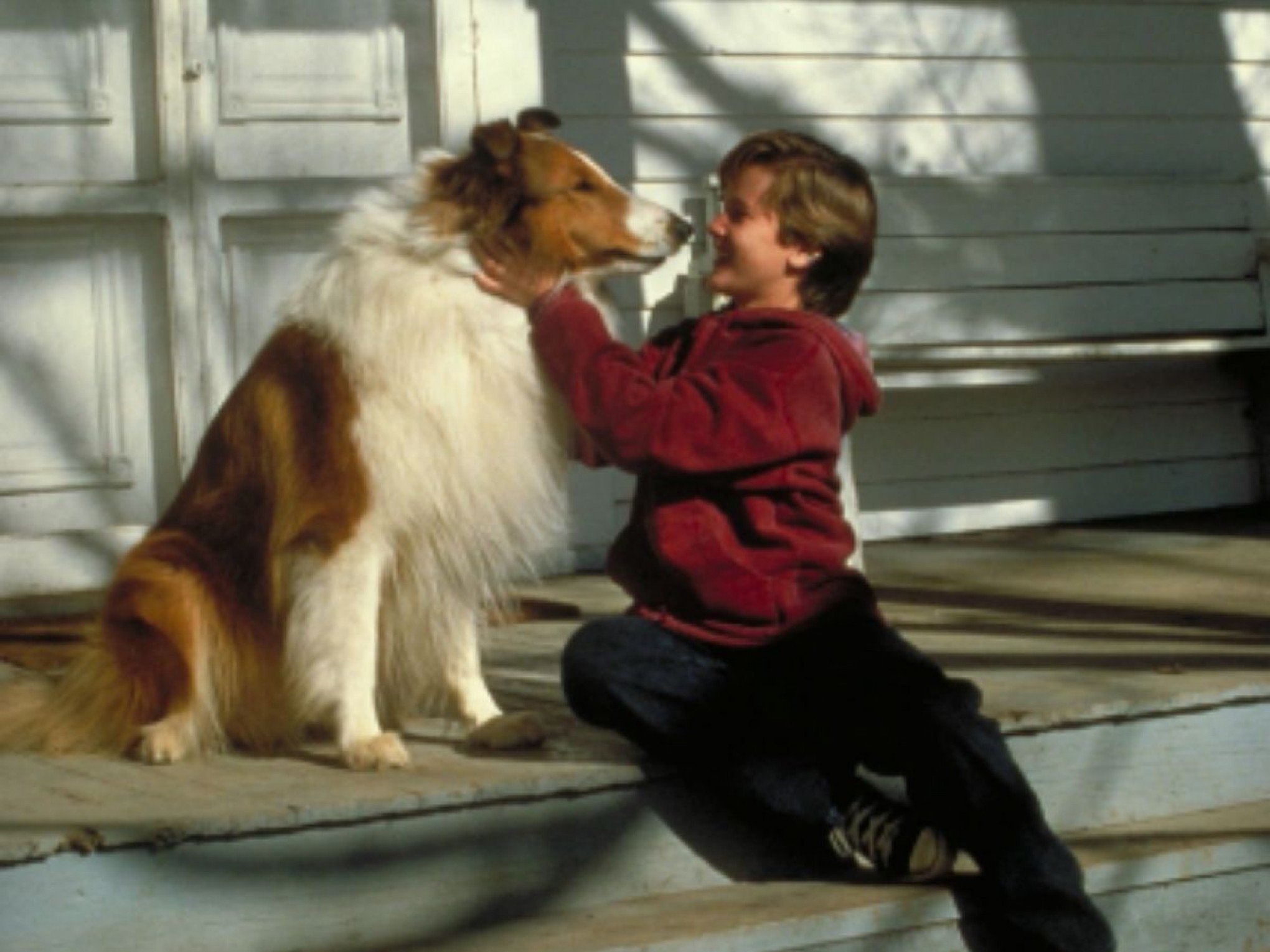 Ator de Lassie é preso após quebrar carro e ameaçar vizinho com faca