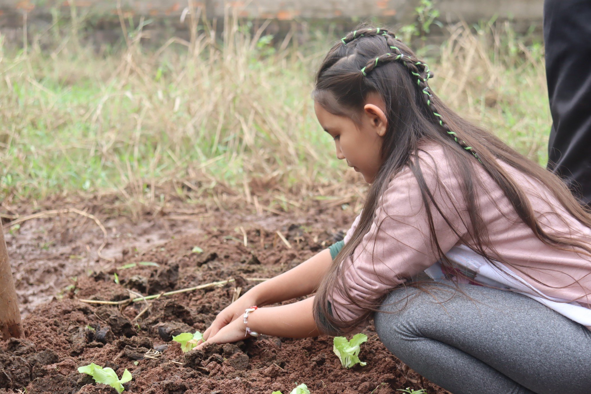 Retomada da horta na Semana de EducaÃ§Ã£o Socioambiental SustentÃ¡vel da Emef BarÃ£o do Rio Branco 