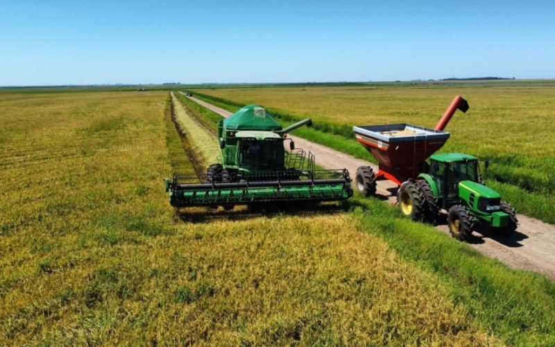 Agro puxa resultado para baixo | abc+
