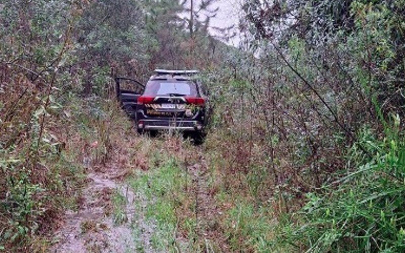 Carros usados por criminoso em ataque a carro-forte no aeroporto de Caxias do Sul foram encontrados em área de mata