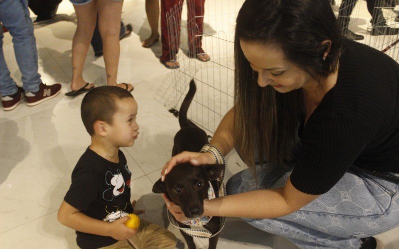 Stephani Assis e o filho, Theo, levaram um cachorrinho para casa