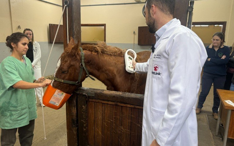 Dispositivo armazena dados de identificação do animal, como espécie, condição de saúde e vacinas