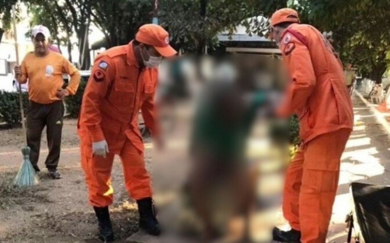 Adolescente pode ter ateado fogo em homem que dormia em praça | abc+