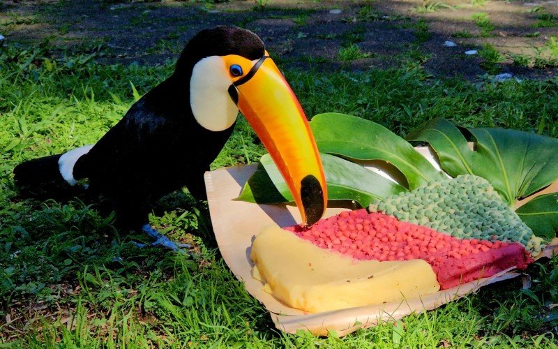 Tucano se alimenta com polenta nas cores da bandeira do RS