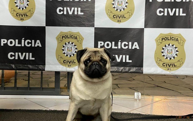 Pug foi recuperado e devolvido para a família na noite de quinta-feira (27)