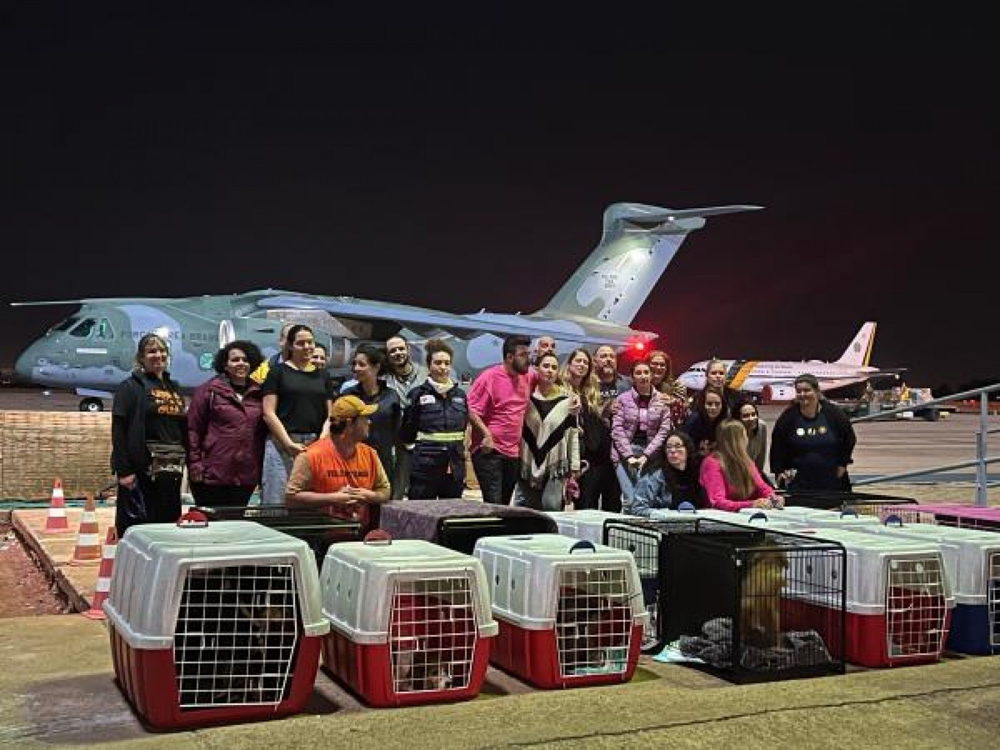 FAB transporta animais resgatados em Canoas para adotantes em outros estados