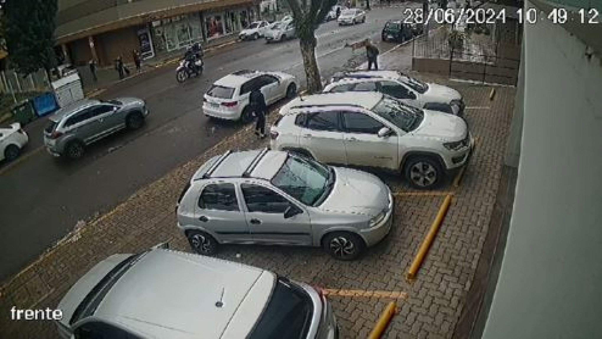 VÍDEO: Veado atropela pedestre na Serra gaúcha e câmeras flagram momento; veja