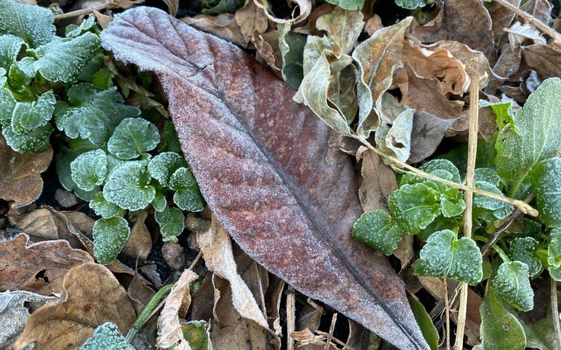 Geada em Gramado com frio intenso e temperaturas negativas