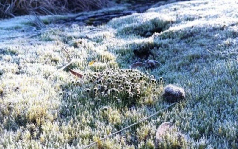 Amanhecer foi de geada e água congelada em São Francisco de Paula, com -3,4ºC