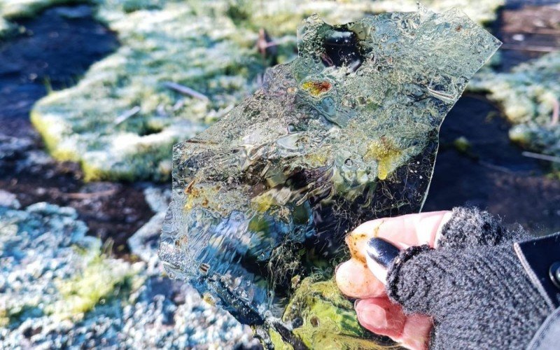 Amanhecer foi de geada e água congelada em São Francisco de Paula, com -3,4ºC