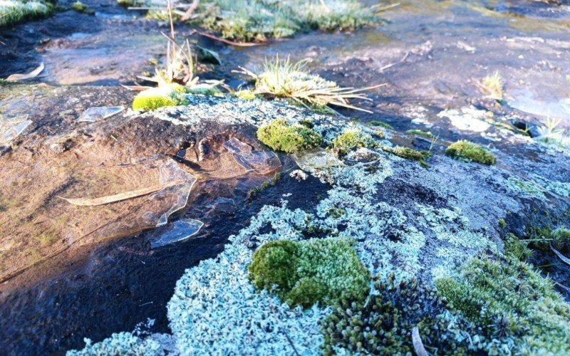 Amanhecer foi de geada e água congelada em São Francisco de Paula, com -3,4ºC