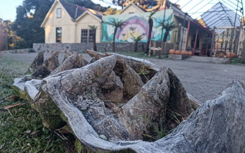 Amanhecer foi de geada e água congelada em São Francisco de Paula, com -3,4ºC