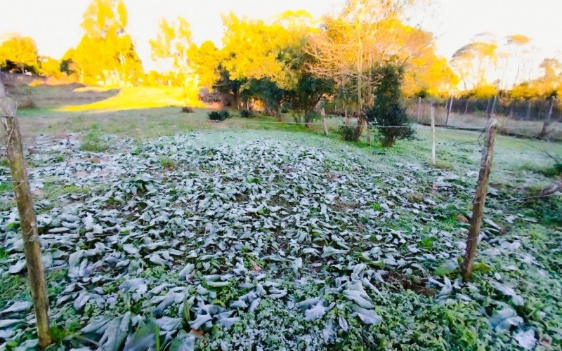 Frio congela a paisagem em São Francisco de Paula