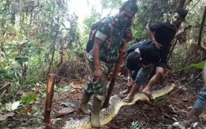 Mulher que desapareceu foi encontrada dentro de cobra de 9 metros | abc+