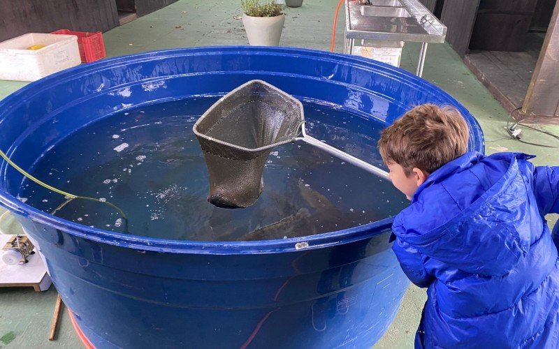 Feira do Peixe Vivo, em Gramado, ocorreu pela primeira vez no Expogramado