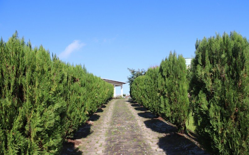 Caminho de acesso ao Cemitério de Faxinal é conservado pela associação e encanta visitantes