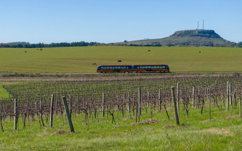 Trem do Pampa vai percorrer caminho de 20 quilômetros, com parada em vinícola | abc+