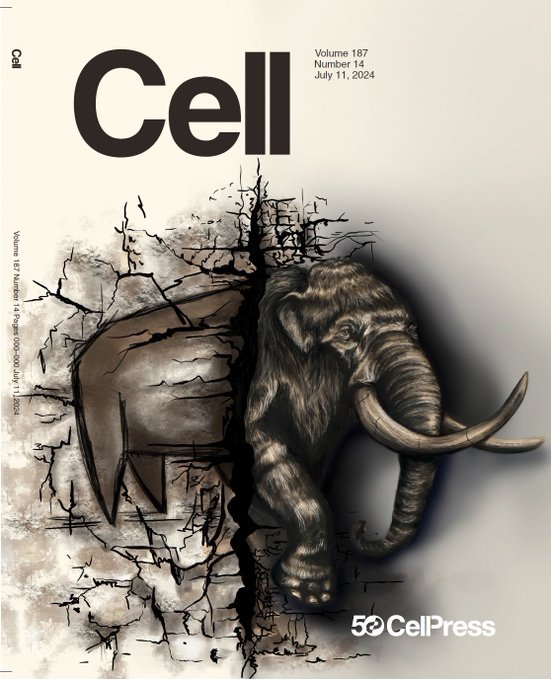 Capa da revista científica Cell, que destaca o artigo sobre o DNA do mamute | abc+