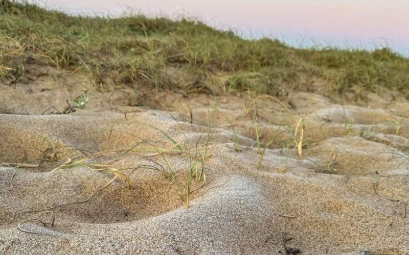 Praia no Uruguai amanheceu coberta de gelo neste sábado 