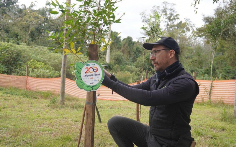 Canoas recebeu mudas dentro de projeto pelo Bicentenário | abc+