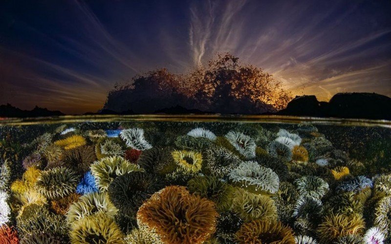  Em Celebração é a ganhadora na categoria Paisagens, Paisagens Aquáticas e Flora | abc+