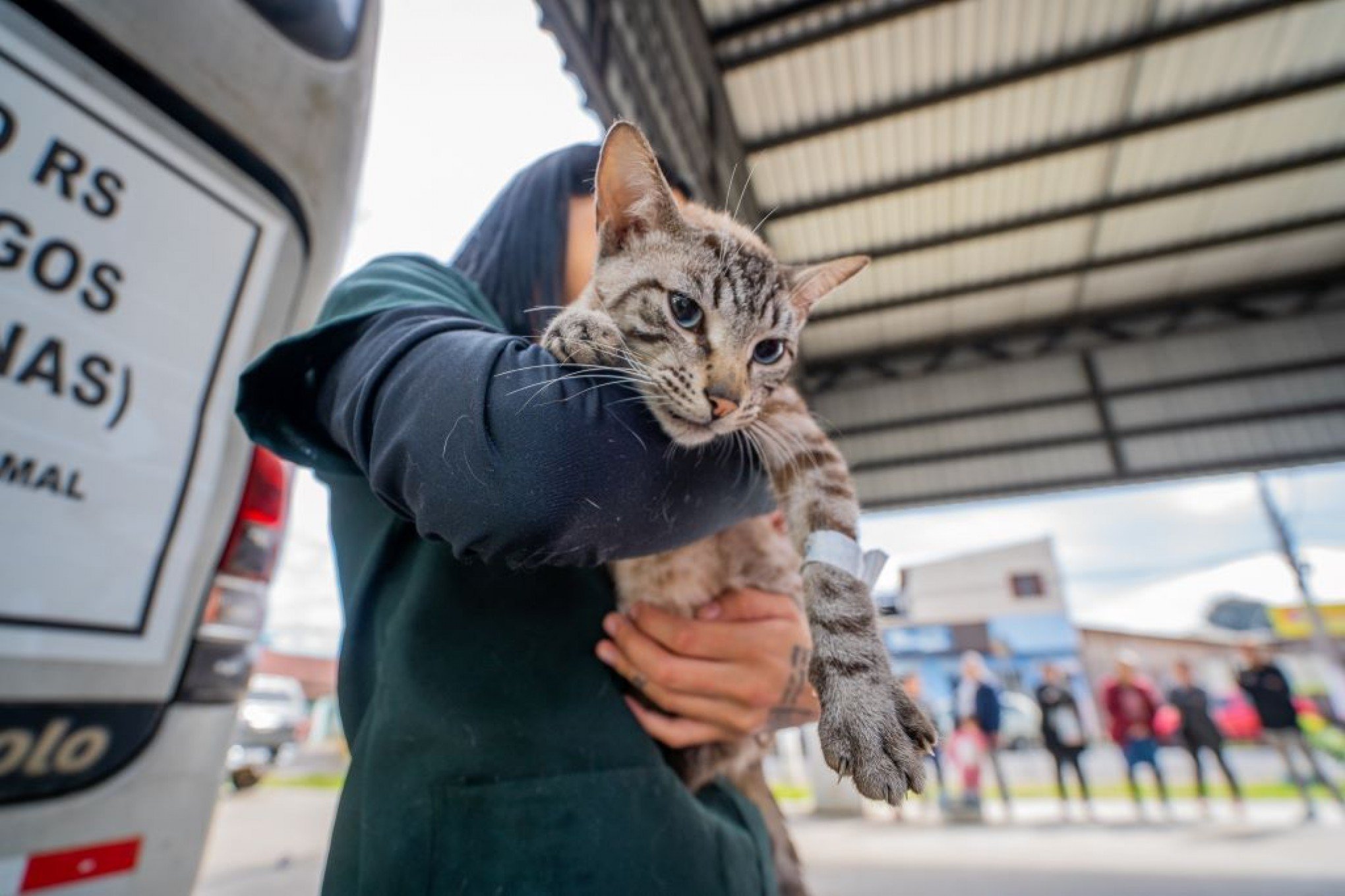 Mutirão de castrações de cães e gatos realiza 100 procedimentos no bairro Santo Inácio