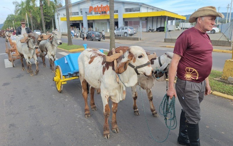 Agricultor Paulo Hermann levou dois bezerros no desfile 